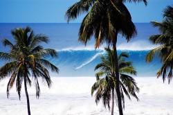 Small guy, big wave, at Tres Palmas.